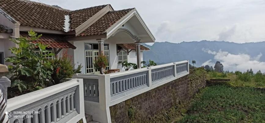 Good Karma Bromo Guesthouse Exterior foto