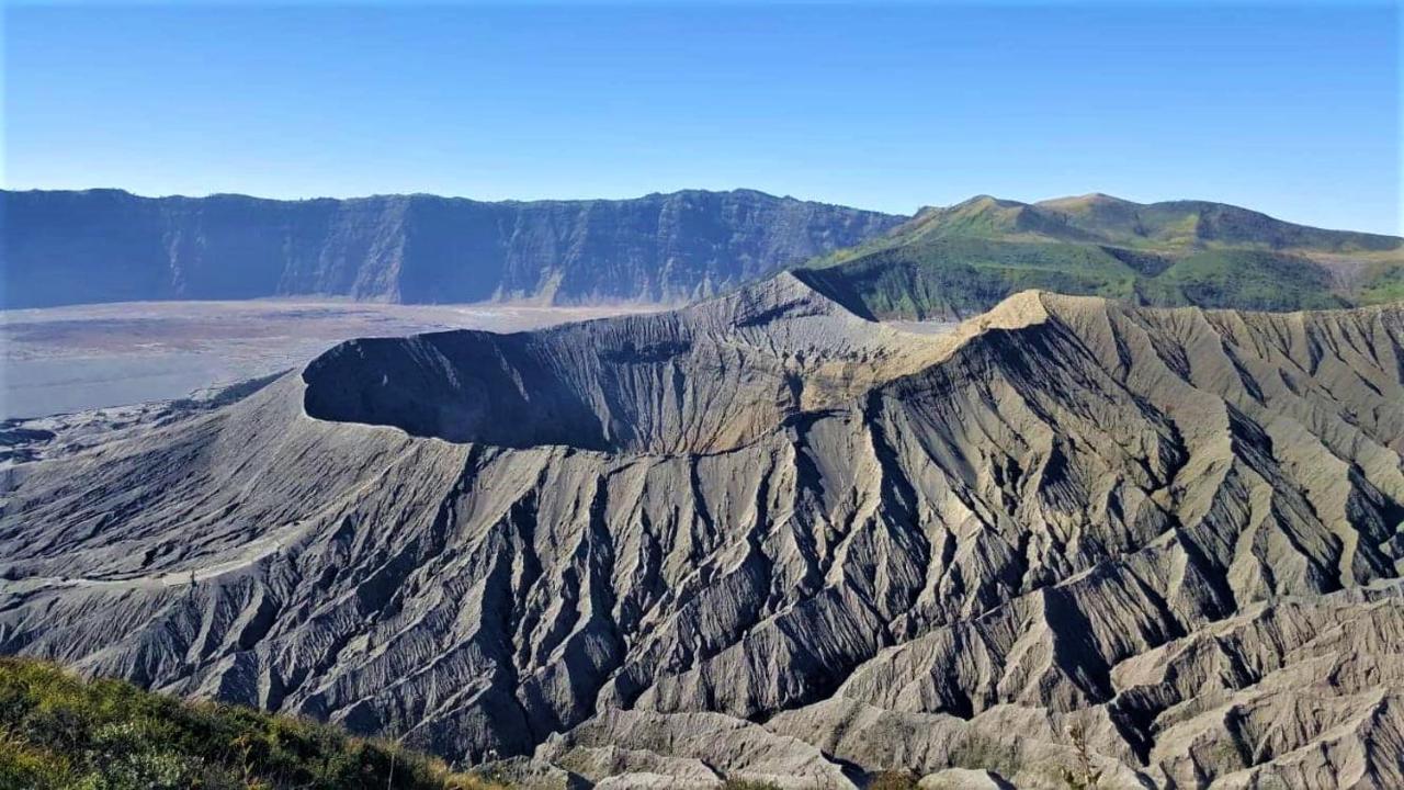 Good Karma Bromo Guesthouse Exterior foto