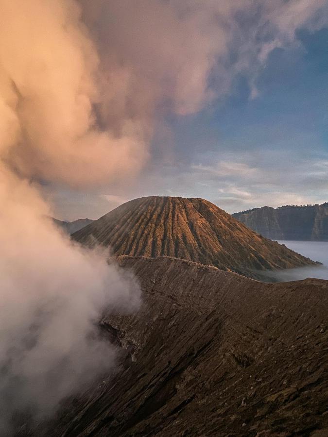 Good Karma Bromo Guesthouse Exterior foto