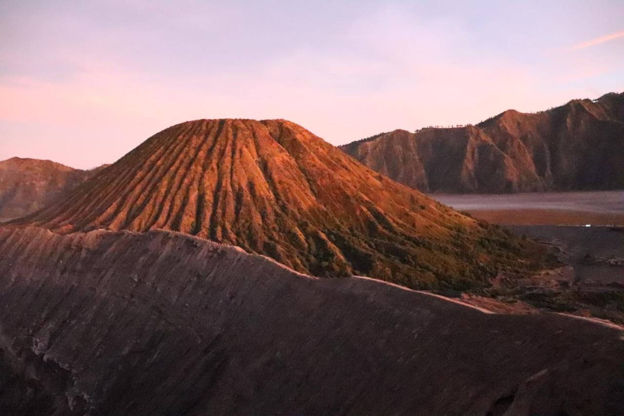 Good Karma Bromo Guesthouse Exterior foto