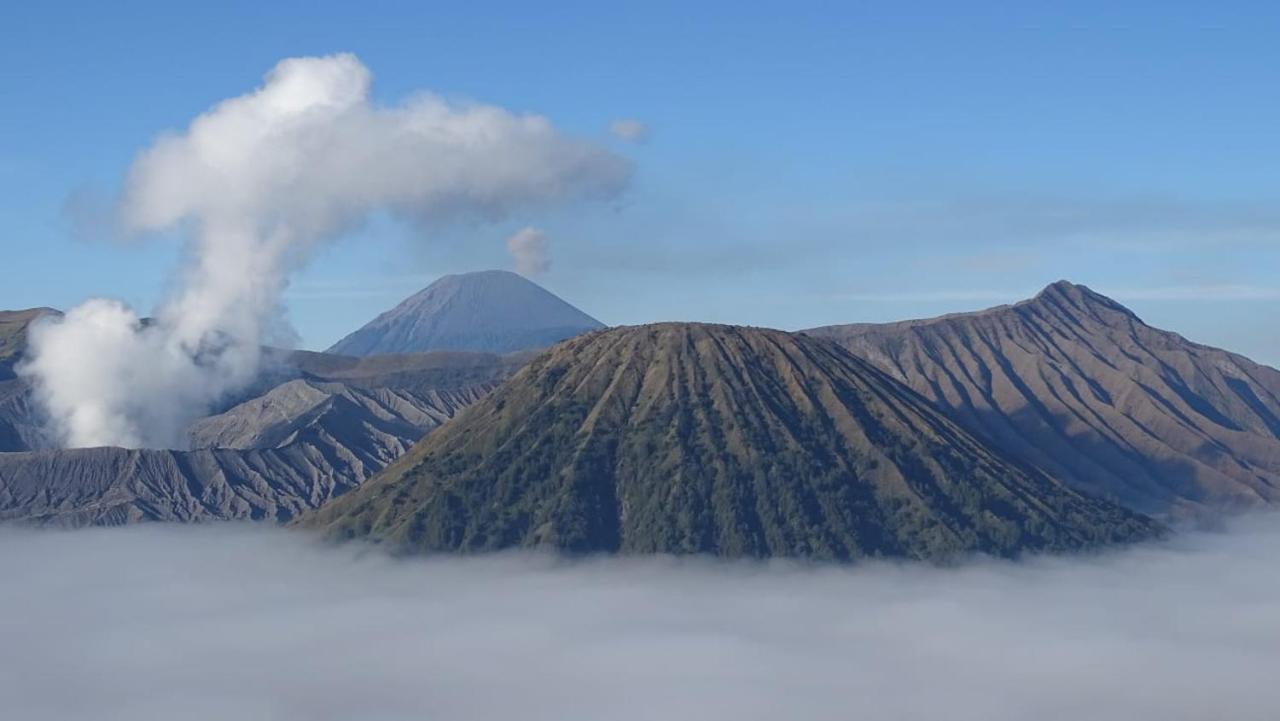 Good Karma Bromo Guesthouse Exterior foto